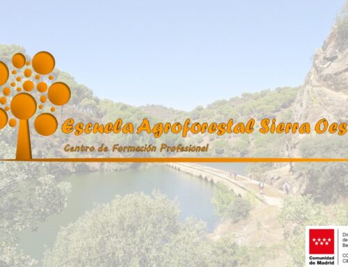 PUBLICACIÓN LISTADO DE SOLICITUDES BAREMADAS.