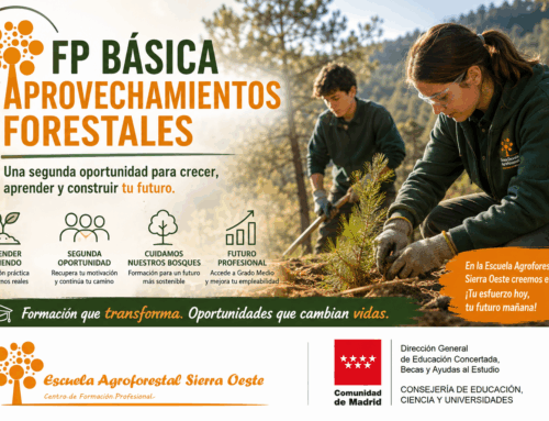 La FP Básica de Aprovechamientos Forestales: una segunda oportunidad que mantiene a los jóvenes en el sistema educativo