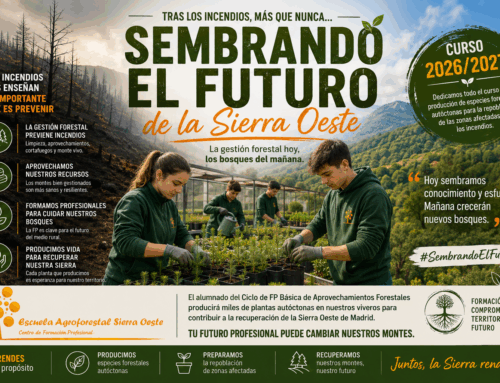 La Escuela Agroforestal Sierra Oeste contribuirá durante el curso 2026/2027 a la recuperación de los montes afectados por los incendios.